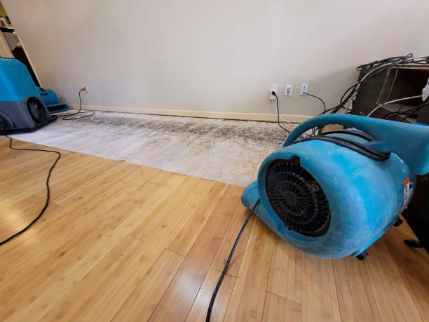 Professional Water Damage Repair technician working in Hanscom AFB, MA